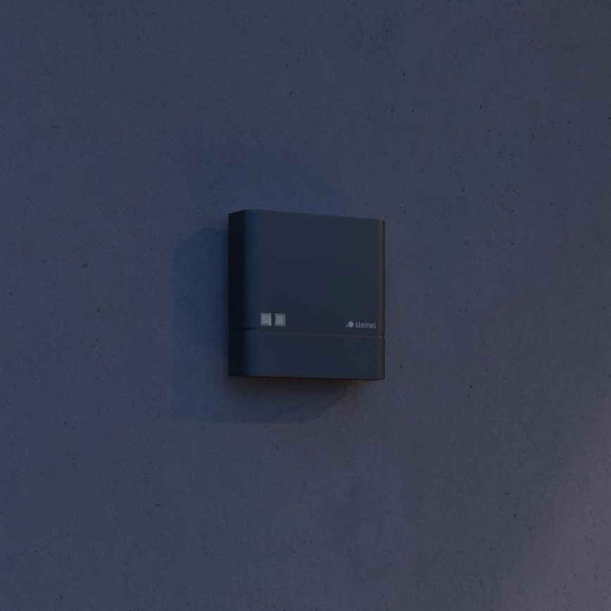 Steinel 066116 - Senzor za noć NIGHTMATIQ Plus IP54 antracit