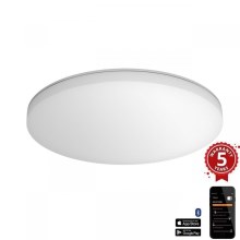 Steinel 067762 - LED Prigušiva stropna svjetiljka sa senzorom RS PRO R30 plus SC 23,7W/230V 4000K