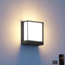 Steinel 085230 - LED Prigušiva vanjska zidna svjetiljka L40C LED/12,9W/230V IP54 antracit