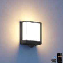 Steinel 085247 - LED Prigušiva vanjska zidna svjetiljka sa senzorom L40SC LED/12,9W/230V