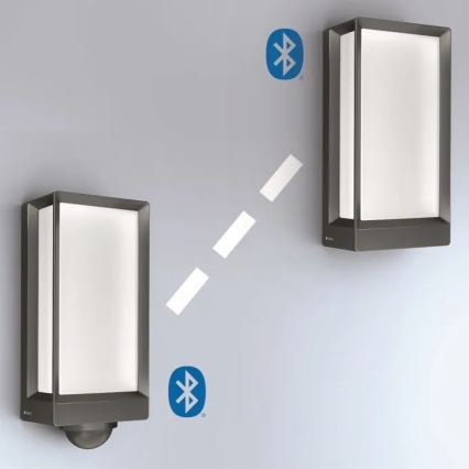 Steinel 085254 - LED vanjsko zidno svjetlo s prigušivanjem L42C LED/12,6W/230V IP54