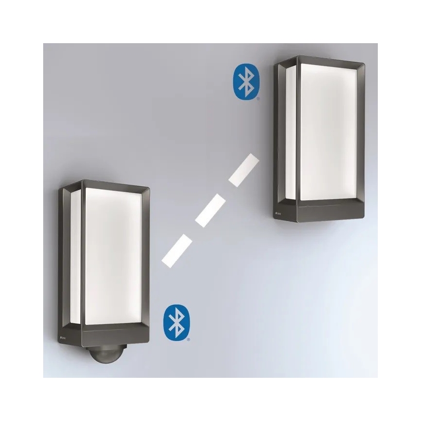 Steinel 085254 - LED vanjsko zidno svjetlo s prigušivanjem L42C LED/12,6W/230V IP54