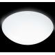 STEINEL 730116 - Stropna svjetiljka za kupaonicu sa senzorom RS 100 L 1xE27/100W/230V IP44