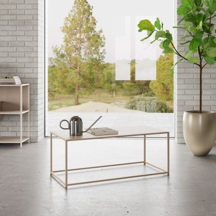 Stolić za kavu SARON 100x50 cm sivi