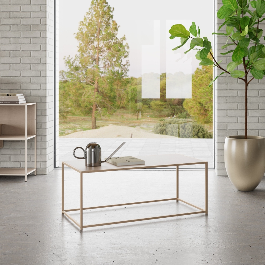 Stolić za kavu SARON 100x50 cm sivi