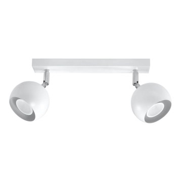Stropna reflektorska svjetiljka OCULARE 2xGU10/10W/230V