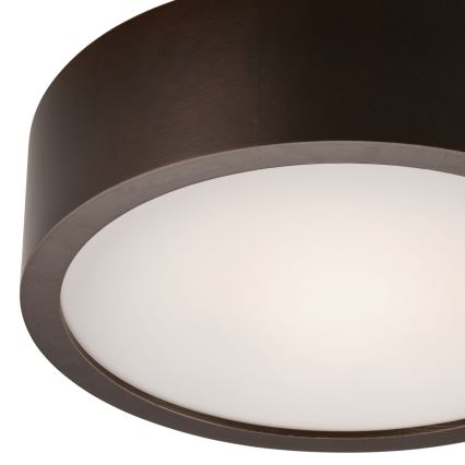 Stropna svjetiljka 1xE27/60W/230V bor