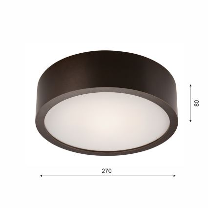 Stropna svjetiljka 1xE27/60W/230V bor