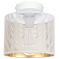 Stropna svjetiljka ALDO 1xE27/60W/230V pr. 20 cm bijela