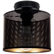 Stropna svjetiljka ALDO 1xE27/60W/230V pr. 20 cm crna