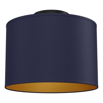 Stropna svjetiljka ARDEN, 1x E27, 15 W, 230 V, Ø 25 cm, plava
