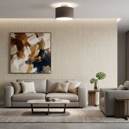 Stropna svjetiljka ARDEN 1xE27/15W/230V promjer 25 cm crna