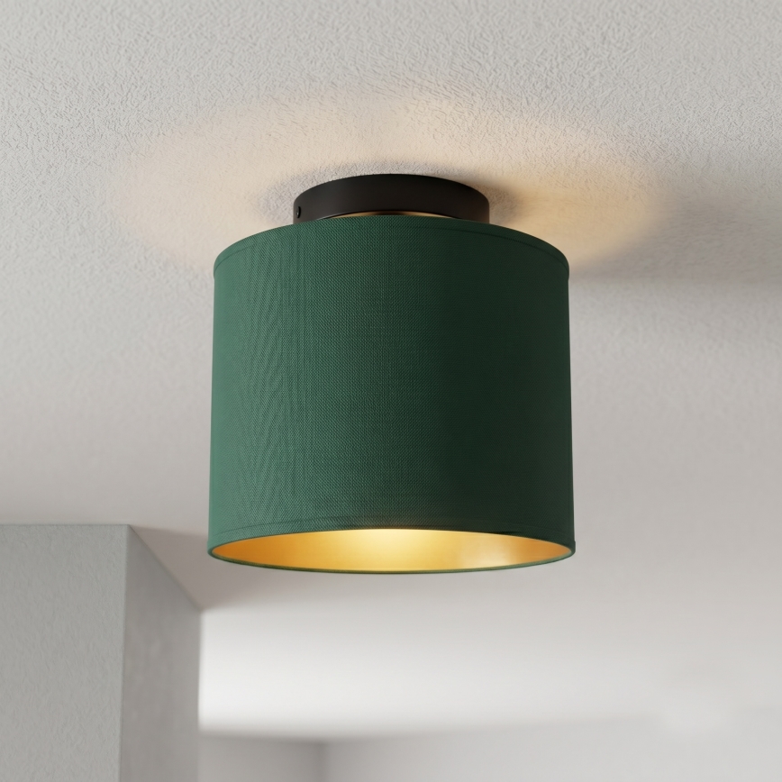 Stropna svjetiljka ARDEN 1xE27/15W/230V, Ø 18 cm, zelena