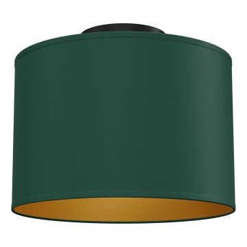Stropna svjetiljka ARDEN 1xE27/15W/230V Ø 25 cm zelena