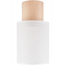Stropna svjetiljka ARI 1xE27/60W/230V pr. 16 cm bijela