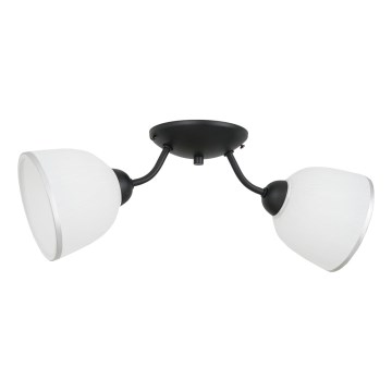 Stropna svjetiljka AVIA 2xE27/60W/230V