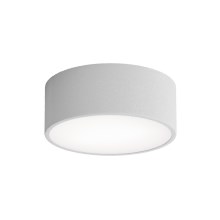Stropna svjetiljka CLEO 1xE27/24W/230V pr. 20 cm siva
