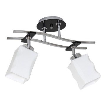 Stropna svjetiljka DERBY 2xE27/60W/230V