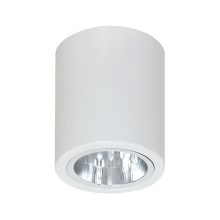 Stropna svjetiljka DOWNLIGHT ROUND 1xE27/60W/230V 112x90mm