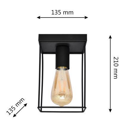 Stropna svjetiljka FINN 1xE27/15W/230V crna