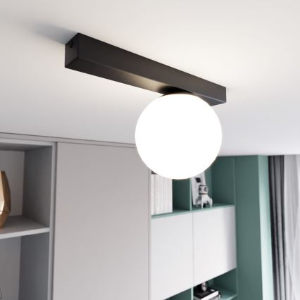 Stropna svjetiljka FIT 1xE14/10W/230V crna/bijela