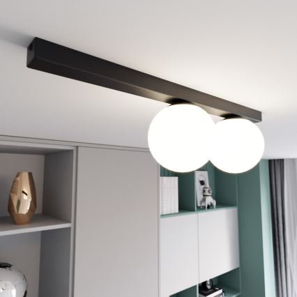 Stropna svjetiljka FIT 2xE14/10W/230V crna/bijela