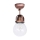 Stropna svjetiljka FRESCO 1xE27/60W/230V