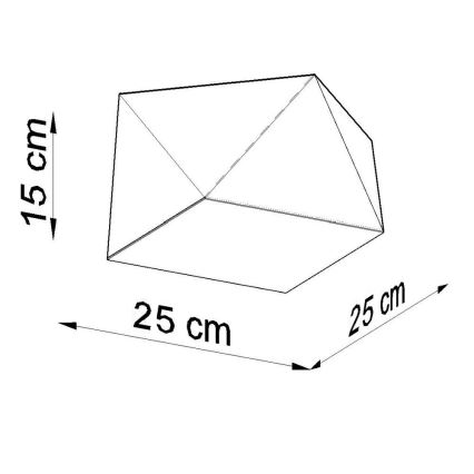 Stropna svjetiljka HEXA 1xE27/60W/230V crna