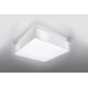 Stropna svjetiljka HORUS 35 2xE27/60W/230V bijela