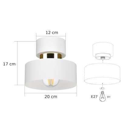 Stropna svjetiljka IGNIA 1xE27/60W/230V bijela