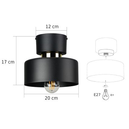 Stropna svjetiljka IGNIA 1xE27/60W/230V crna