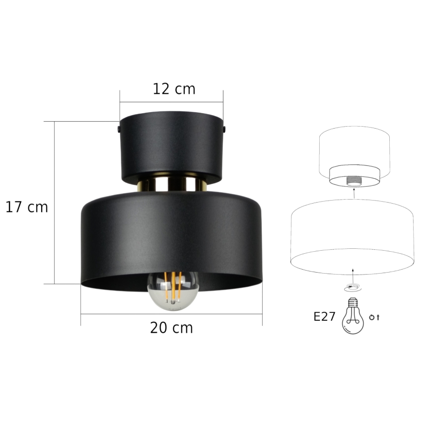 Stropna svjetiljka IGNIA 1xE27/60W/230V crna