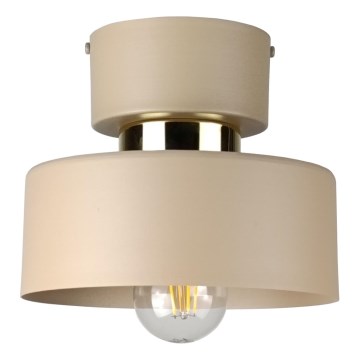 Stropna svjetiljka IGNIA 1xE27/60W/230V taupe