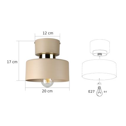 Stropna svjetiljka IGNIA 1xE27/60W/230V taupe