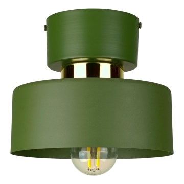 Stropna svjetiljka IGNIA 1xE27/60W/230V zelena