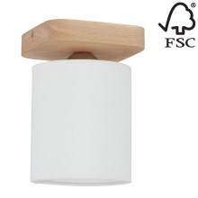 Stropna svjetiljka JENTA 1xE27/25W/230V – FSC certificirano