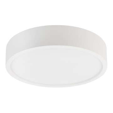 Stropna svjetiljka NATURAL 3xE27/15W/230V Ø 37,5 cm borovina/bijela