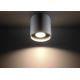 Stropna svjetiljka ORBIS 1 1xGU10/40W/230V siva