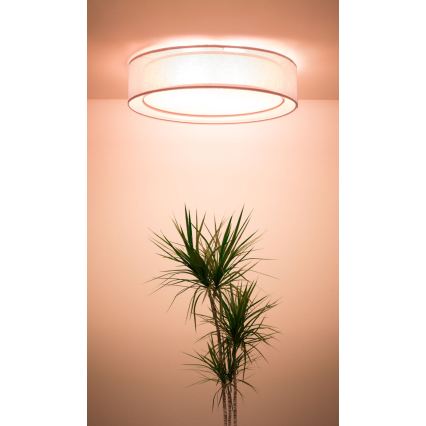 Stropna svjetiljka PURO, 2x E27 (max. 40 W), 230 V, promjer 50 cm, ružičasta