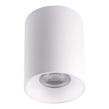 Stropna svjetiljka RITI 1xGU10/25W/230V bijela