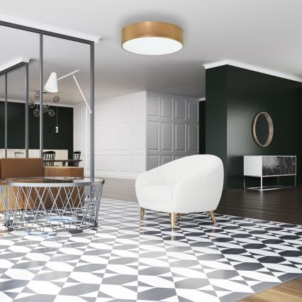 Stropna svjetiljka s senzorom pokreta i sumraka CLEO 2xE27/24W/230V promjer 30 cm zlatna