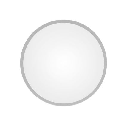 Stropna svjetiljka sa senzorom pokreta i sumraka CLEO 2xE27/24W/230V Ø 30 cm siva