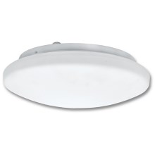 Stropna svjetiljka sa senzorom za kupaonicu VICTOR 2xE27/60W/230V IP44