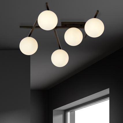 Stropna svjetiljka SMART 5xE14/10W/230V crna/bijela