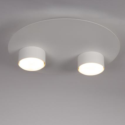 Stropna svjetiljka STAR 2xGX53/12W/230V bijela
