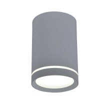 Stropna svjetiljka TUBA GU10/15W/230V