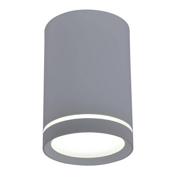 Stropna svjetiljka TUBA GU10/15W/230V