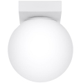 Stropna svjetiljka YOLI 1xG9/12W/230V bijela