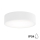 Stropna svjetiljka za kupaonicu CLEO 2xE27/24W/230V pr. 30 cm bijela IP54