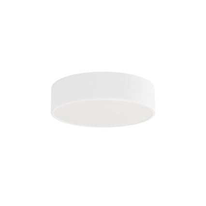 Stropna svjetiljka za kupaonicu CLEO 2xE27/24W/230V pr. 30 cm bijela IP54